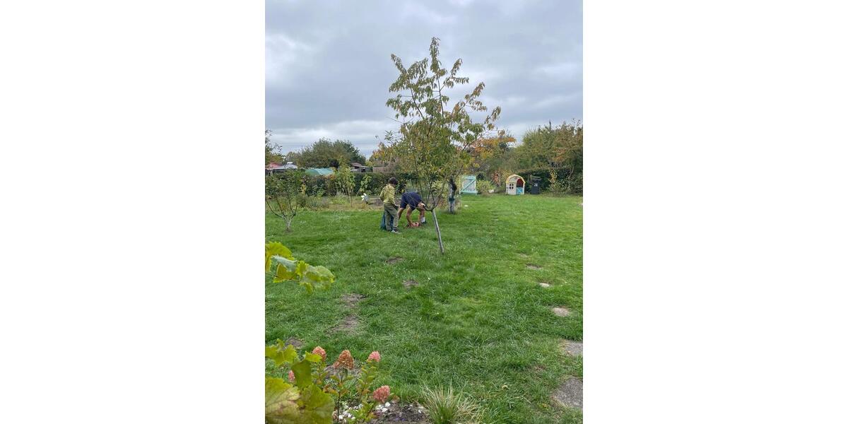 Grundstück Wolfsburg Almke - 3.800&euro; | Angebot:26056125