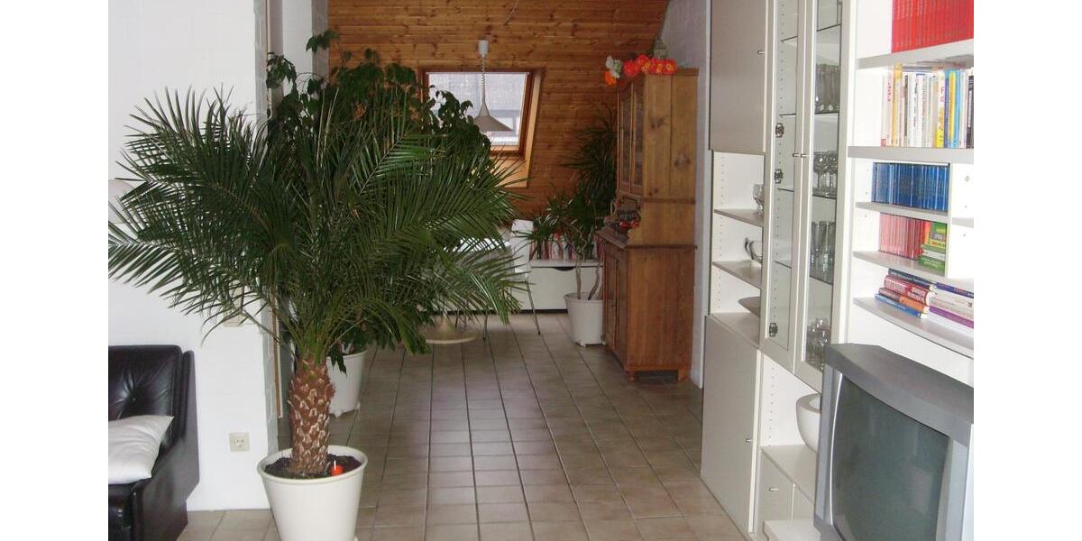 Helle Drei-Zimmer-Wohnung, großer Südwest-Dachterrasse in Gifhorn 3 zimmer