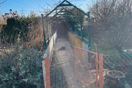 Grundstück Wolfsburg Detmerode - 3.500&euro; | Angebot:25412962