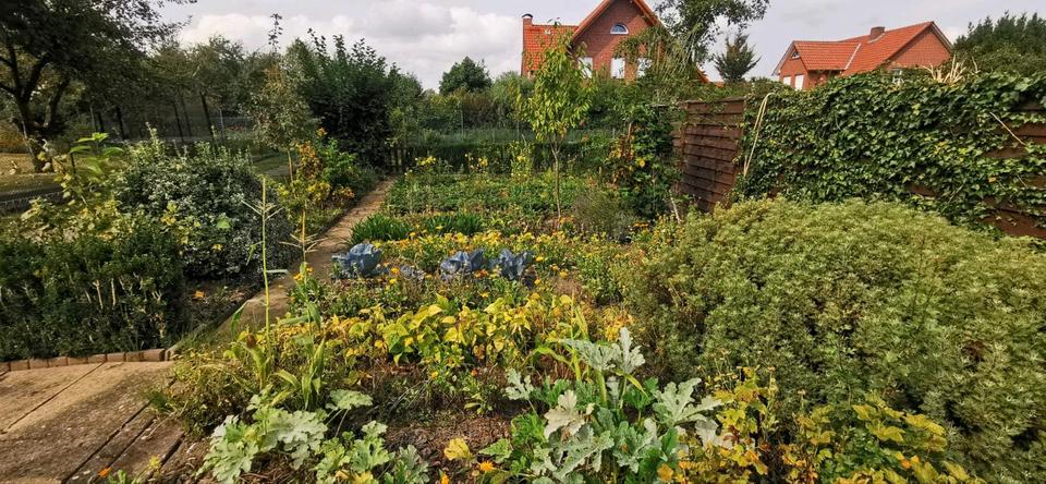 Grundstück Wolfsburg Ehmen - 3.500&euro; | Angebot:26295397