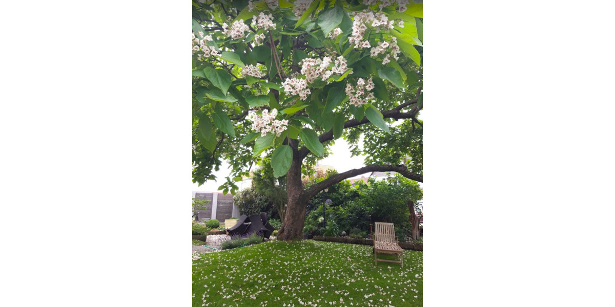 Doppelhaushälfte Wolfsburg Almke - 5 Zimmer, 125 m&sup2;, 565.000&euro; | Angebot:25044585