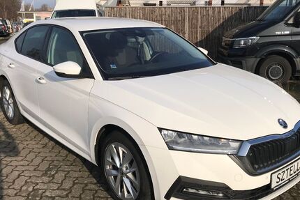 Skoda Octavia 179.281 km 17.999 &euro; Braunschweig 38110