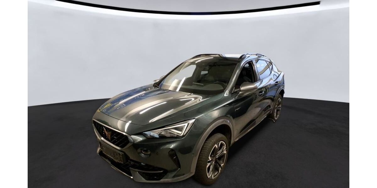 Cupra Formentor 85.100 km 20.890 &euro; Braunschweig 38114