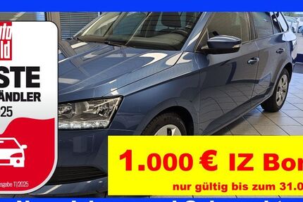 Skoda Fabia 93.592 km 12.800 &euro; Wolfsburg-Heiligendorf 38444