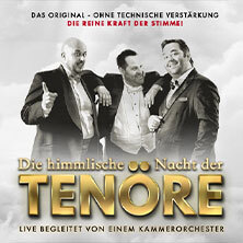 Himmlische Nacht der Tenöre - Das Original - Live und ohne technische Verstärkung Wolfsburg