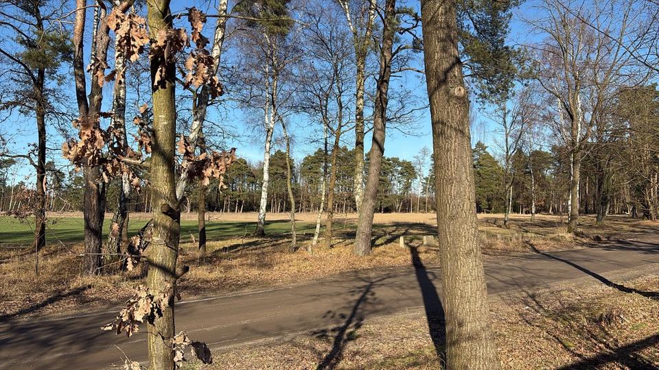 Einfamilienhaus Gifhorn - 126.000&euro; | Angebot:25275841