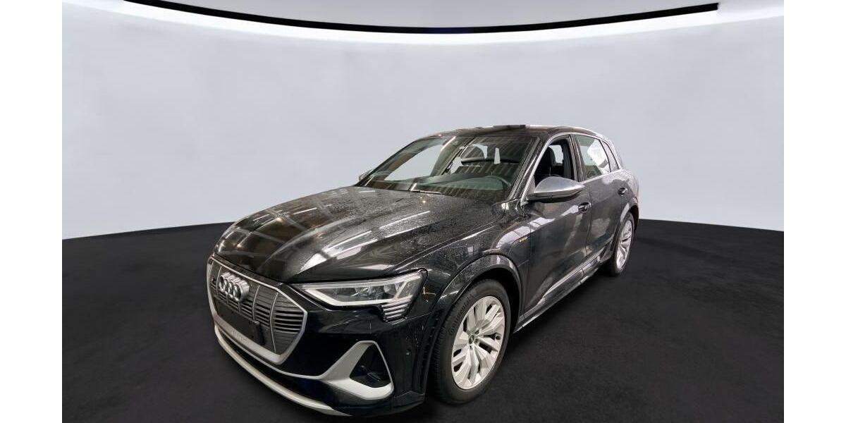 Audi e-tron 137.667 km 29.990 &euro; Braunschweig 38122