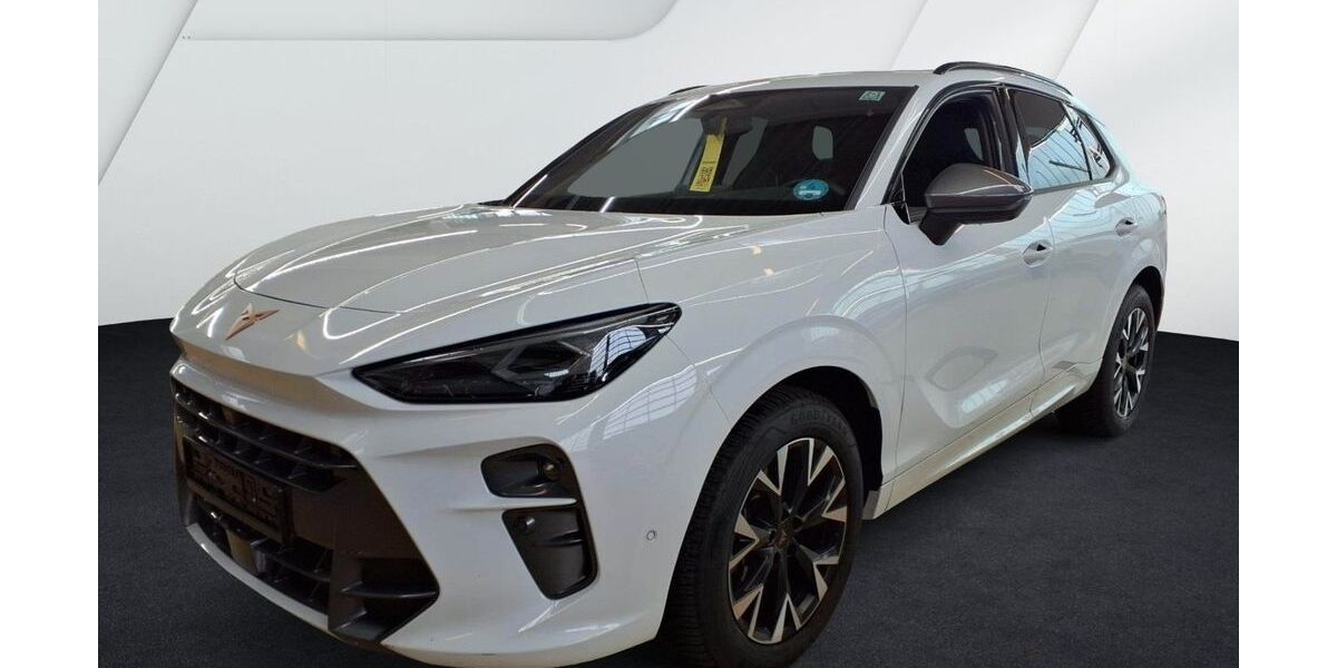 Cupra Terramar 21.000 km 35.970 € Helmstedt 38350