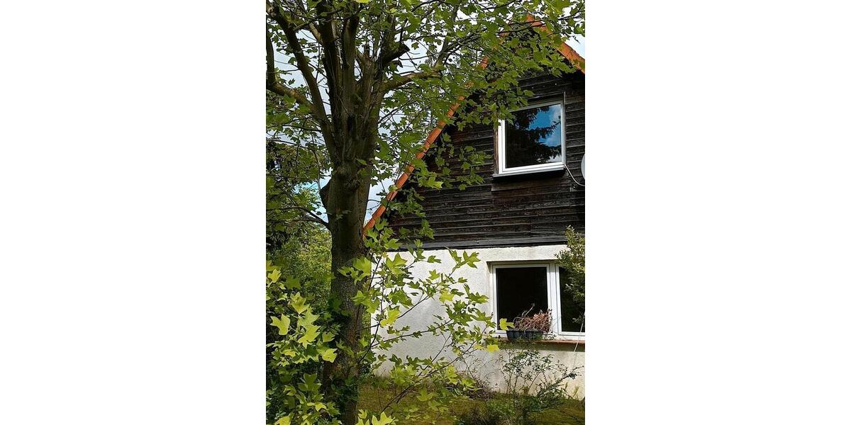 Einfamilienhaus Königslutter am Elm - 7.5 Zimmer, 150 m&sup2;, 180.000&euro; | Angebot:26803319