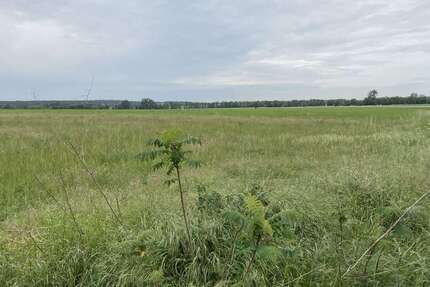 Grundstück Siestedt Siestedt - 99.000&euro; | Angebot:25937773