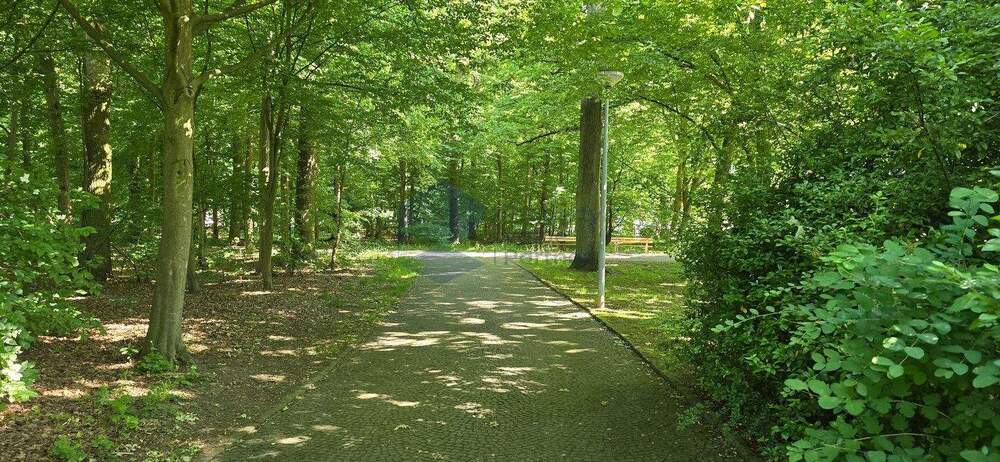 Gewerbeobjekt Wolfsburg Rabenberg - 1 Zimmer, 297&euro; | Angebot:25245768