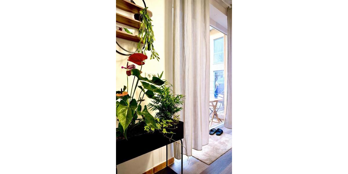 Erdgeschoßwohnung Wolfsburg Ehmen - 2 Zimmer, 80 m&sup2;, 730&euro; | Angebot:26259116