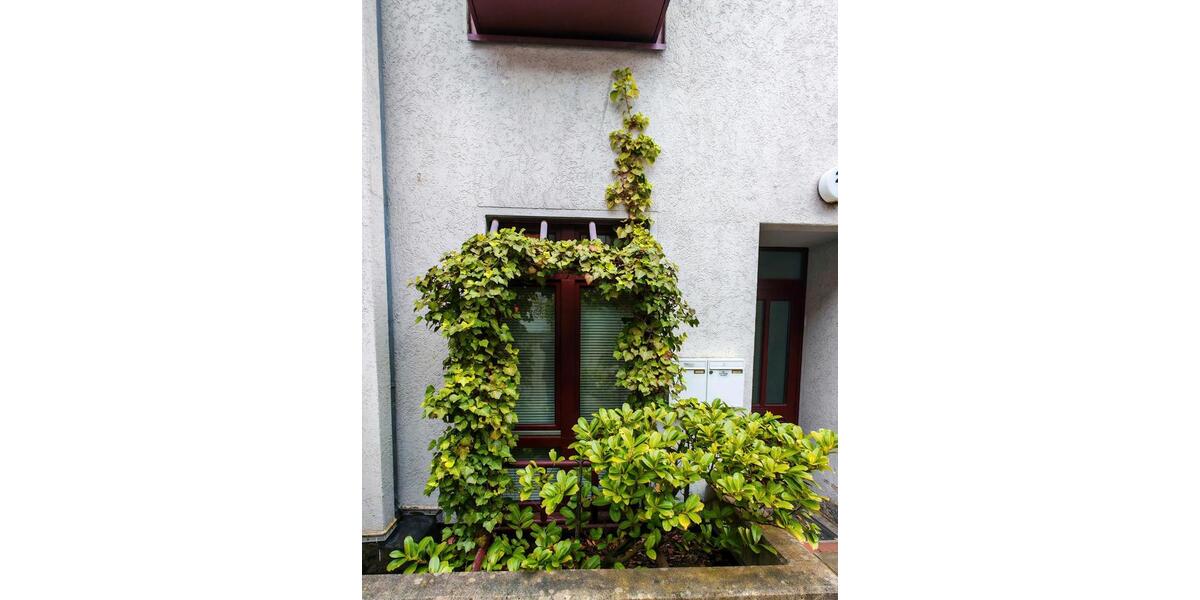 Etagenwohnung Braunschweig Lehndorf-Watenbüttel - 1 Zimmer, 36 m&sup2;, 115.000&euro; | Angebot:26788431