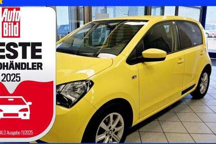 Seat Mii