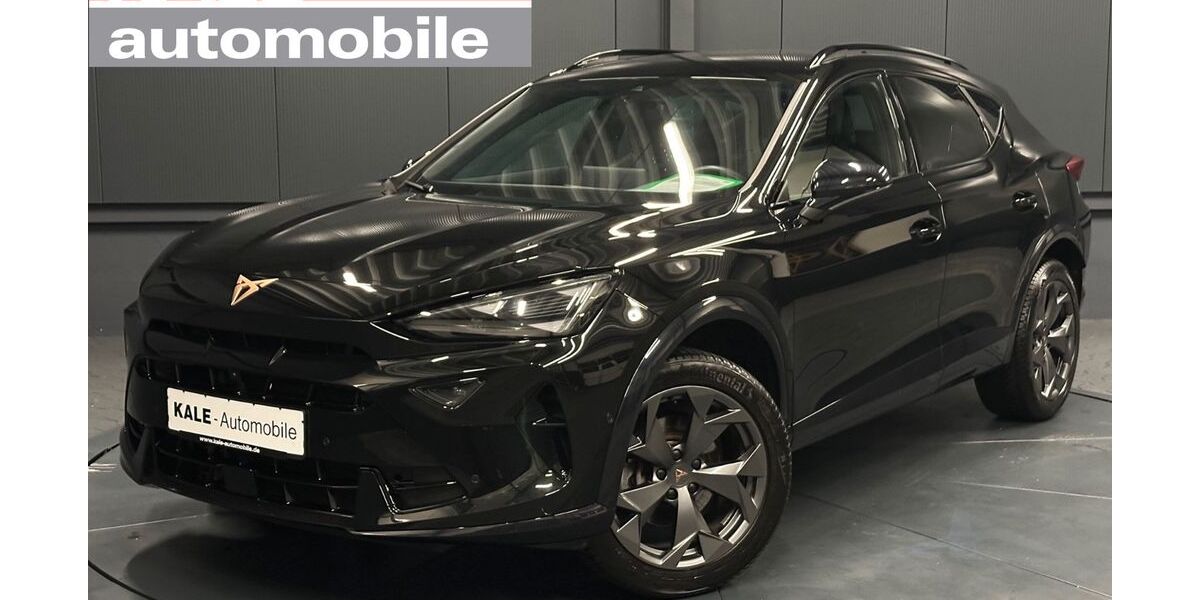Cupra Formentor 29.000 km 29.480 &euro; Helmstedt 38350