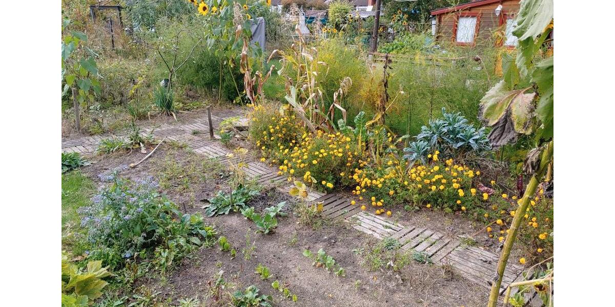 Grundstück Braunschweig Wabe-Schunter-Beberbach - 1.500&euro; | Angebot:26211413