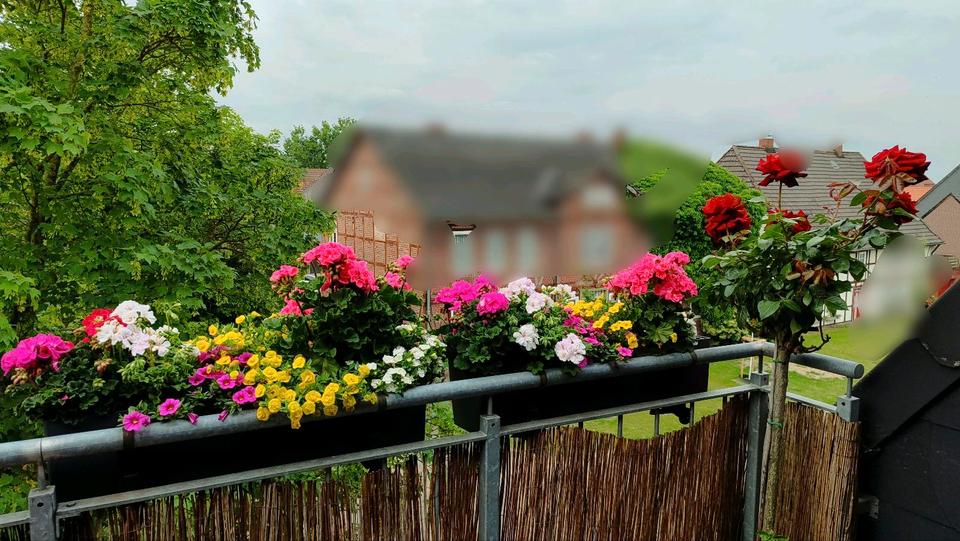 Maisonettenwohnung Tiddische - 4 Zimmer, 124 m&sup2;, 249.000&euro; | Angebot:25856988