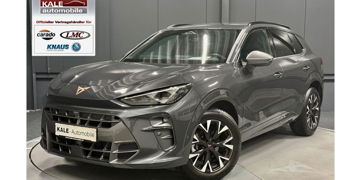 Cupra Terramar 26.000 km 35.491 € Helmstedt 38350