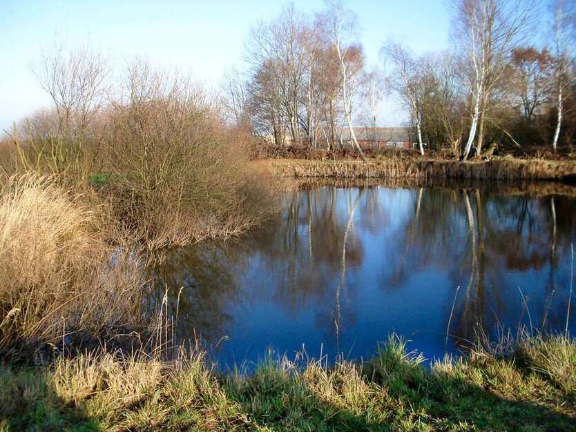 Grundstück zu verkaufen in Bahrdorf 70.000 € 19665 m²