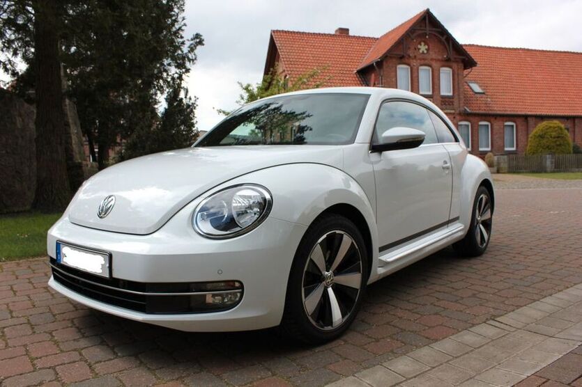 Beetle