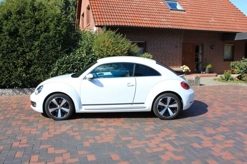 Beetle