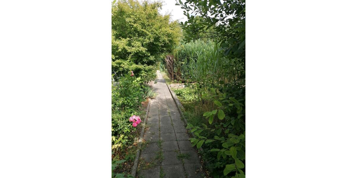 Grundstück Braunschweig Südstadt- Rautheim- Mascherode - 300&euro; | Angebot:22465574