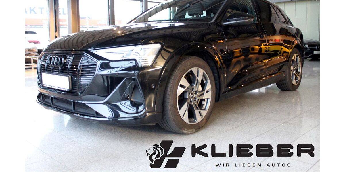 Audi e-tron 60.000 km 33.770 &euro; Braunschweig 38112