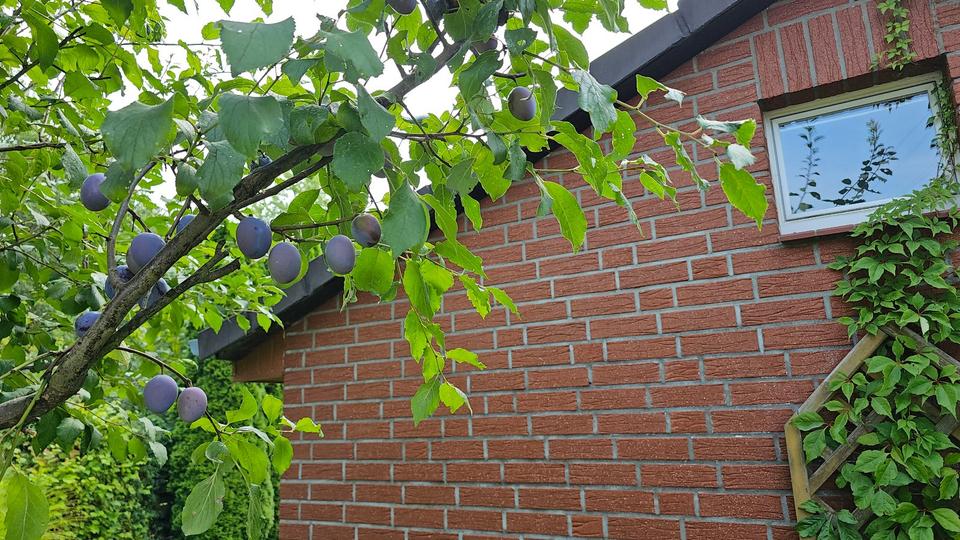 Einfamilienhaus Wolfsburg Ehmen - 12.700&euro; | Angebot:26153411