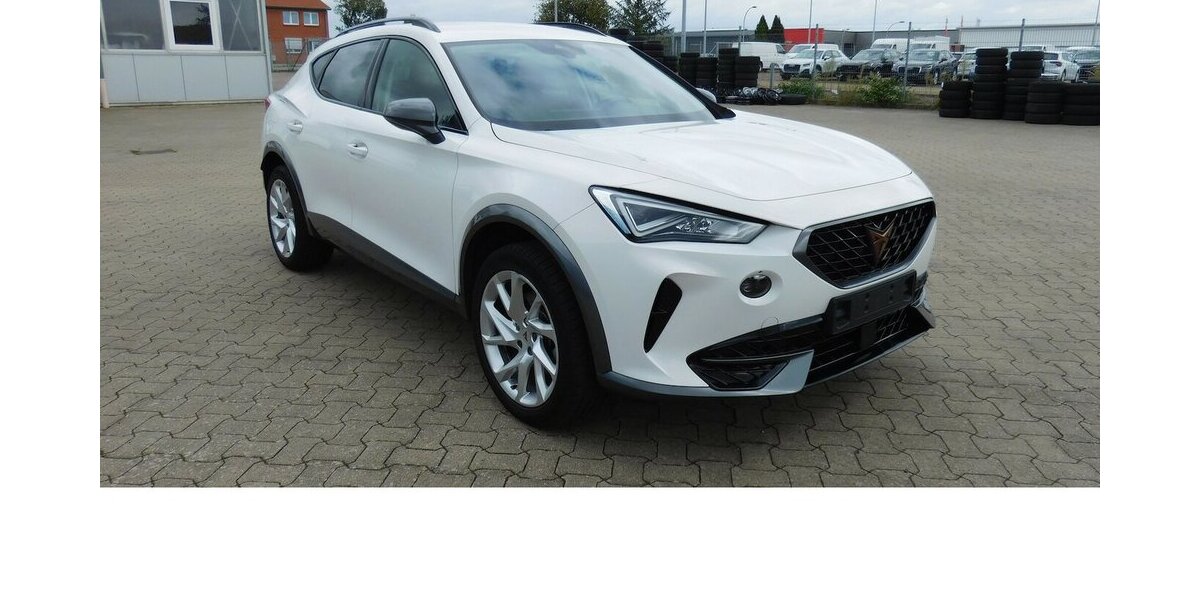 Cupra Formentor 1.5 TSI BMT Klima LED Alu 22.200 km 20.990 € Vordorf 38533
