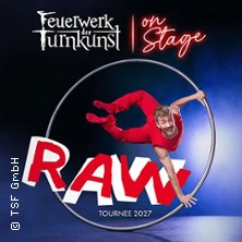 Feuerwerk der Turnkunst - on stage 2027 06.03.2027 Congress Park Wolfsburg
