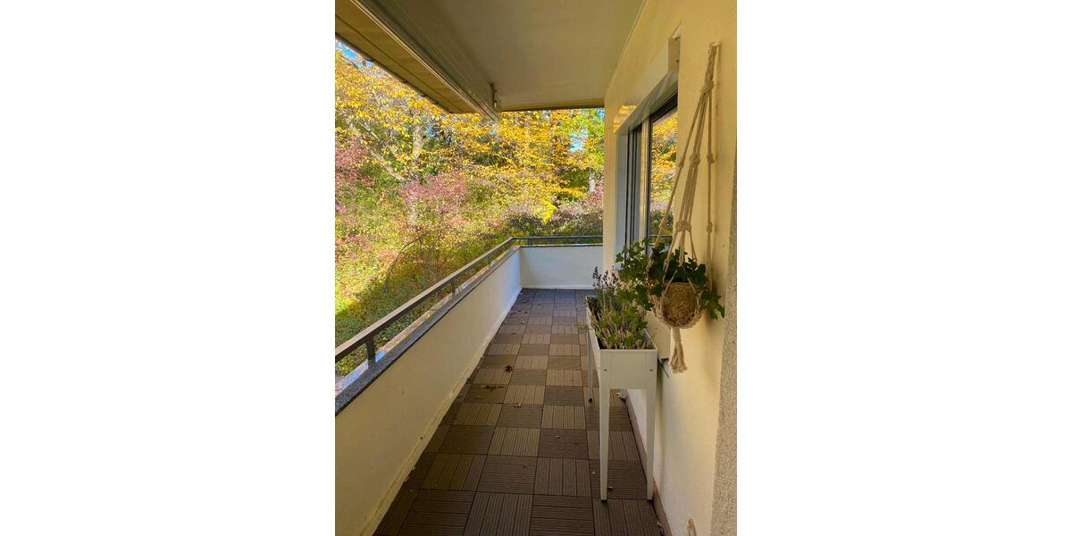 Helle und moderne 2 (3)-Zimmer-Wohnung, 1.OG , kernsaniert 2 zimmer