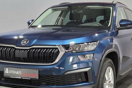 Skoda Kodiaq 100.000 km 25.749 &euro; Braunschweig 38112
