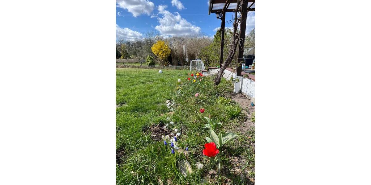 Grundstück Wolfsburg Almke - 3.800&euro; | Angebot:26056125