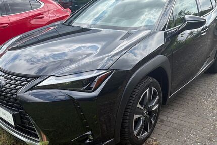 Lexus UX 15.677 km 29.980 &euro; Braunschweig 38114