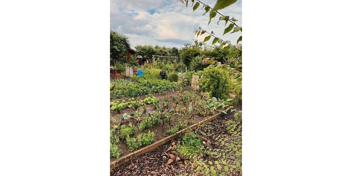 Grundstück Wolfsburg Detmerode - 4.699&euro; | Angebot:25311255