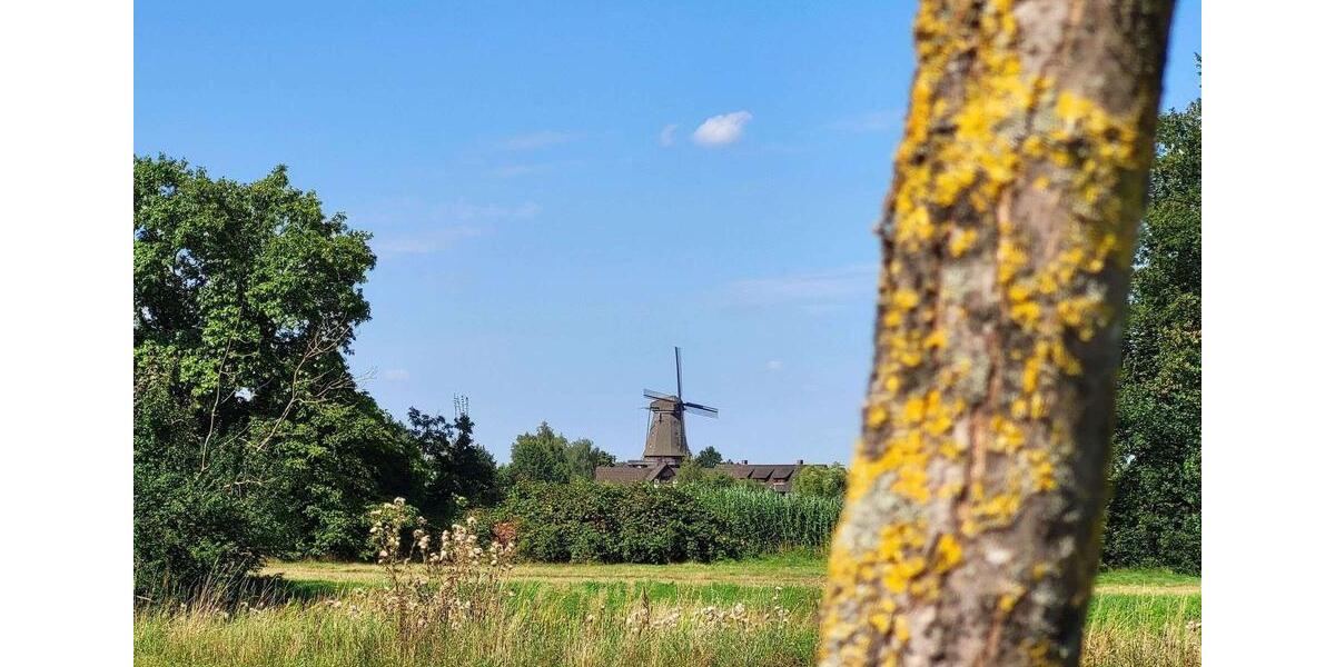 Erdgeschoßwohnung Gifhorn - 6 Zimmer, 167 m&sup2;, 1.754&euro; | Angebot:24749645