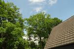 Einfamilienhaus Gifhorn - 6 Zimmer, 145 m&sup2;, 295.000&euro; | Angebot:26888261