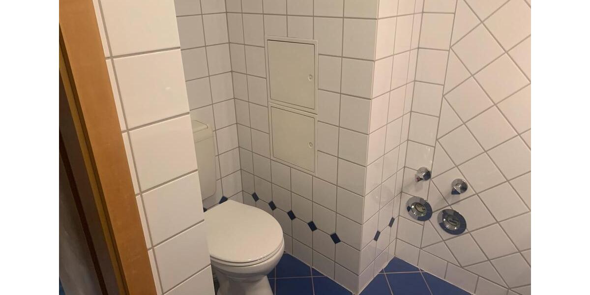 Dachgeschoßwohnung Meine - 1.5 Zimmer, 60 m&sup2;, 600&euro; | Angebot:24820518