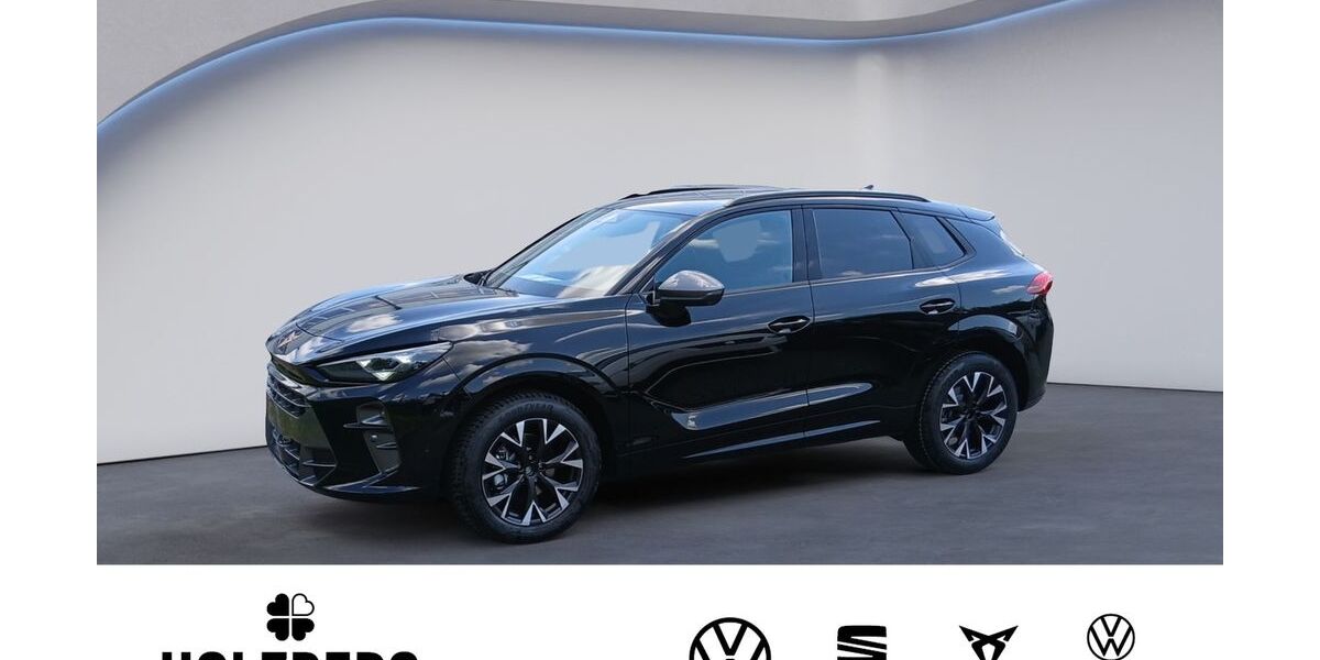 Cupra Terramar 2.500 km 37.375 &euro; Braunschweig 38114