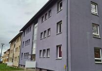 Ihre Gelegenheit**renovierte 3 Zimmer **in schöner, ruhiger Wohnlage mit EBK!!!