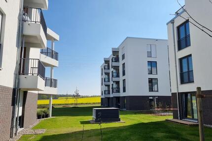 Anfragen nur per Mail: Riesige 1 Zimmer - Balkon - Tiefgarage - BH1 Whg. 8 1 zimmer