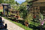 Bungalow Gifhorn - 4 Zimmer, 80 m&sup2;, 152.000&euro; | Angebot:26048417
