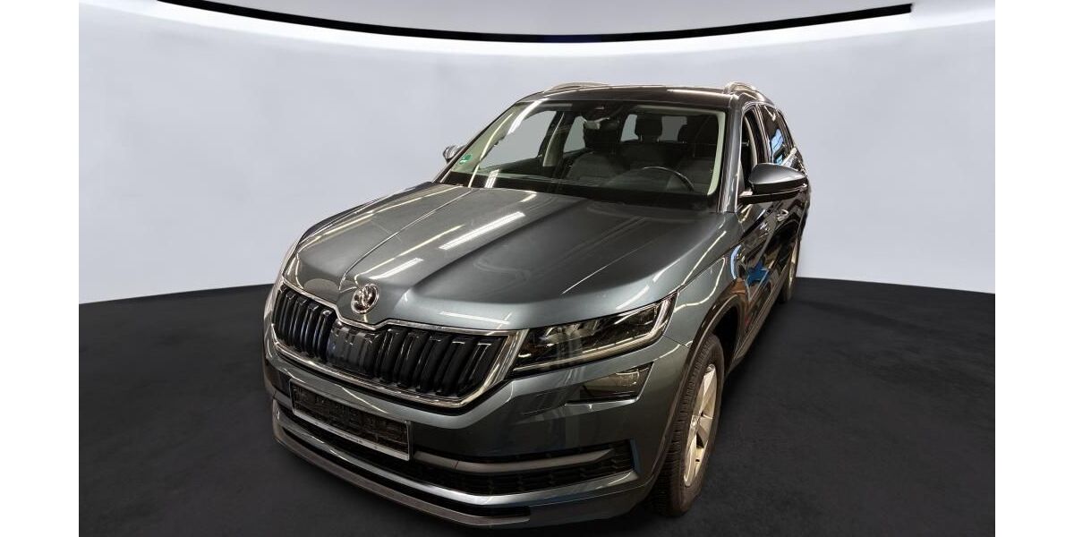 Skoda Kodiaq 161.737 km 19.990 &euro; Braunschweig 38122