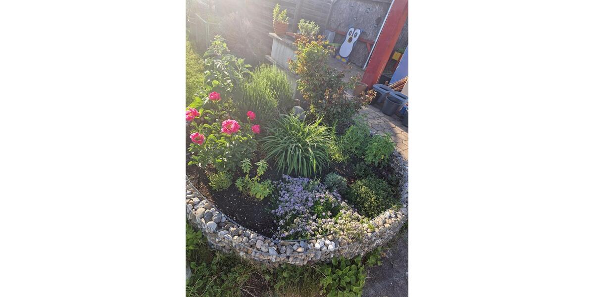 Grundstück Wolfsburg Ehmen - 2.800&euro; | Angebot:24316945