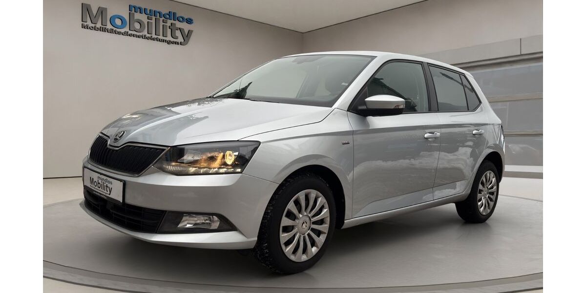 Skoda Fabia 118.500 km 11.480 &euro; Braunschweig 38114