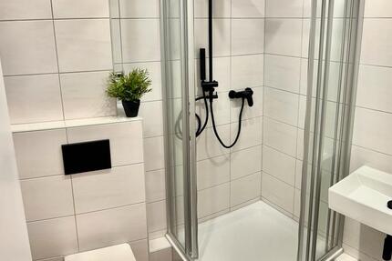 Frisch sanierte 2-Zi-Whg. 1.0G mit neuer Küche, erstbezug 2 zimmer