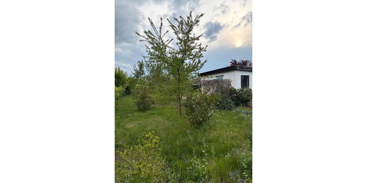 Grundstück Braunschweig Nordstadt - 290&euro; | Angebot:26580097