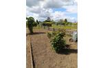 Grundstück Cremlingen - 500&euro; | Angebot:26618162