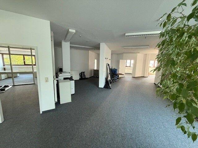 Gewerbeobjekt Braunschweig Innenstadt - 5 Zimmer, 396 m&sup2;, 3.168&euro; | Angebot:25734661