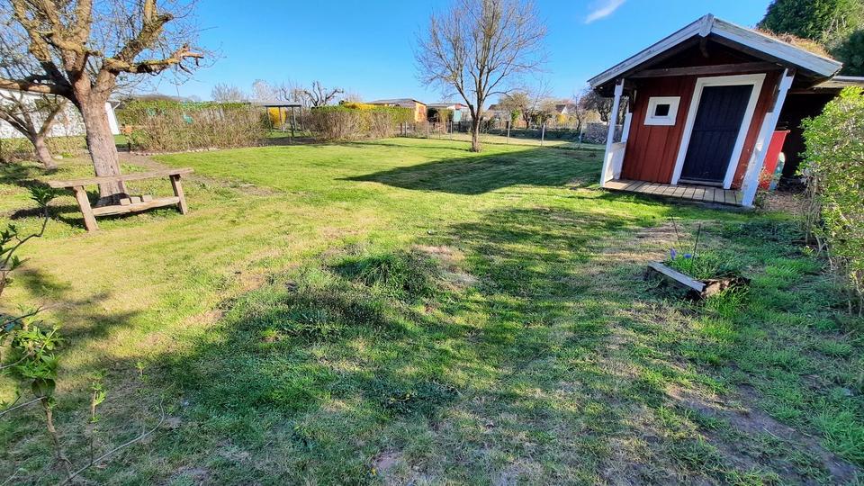 Grundstück Meine - 600&euro; | Angebot:26170647